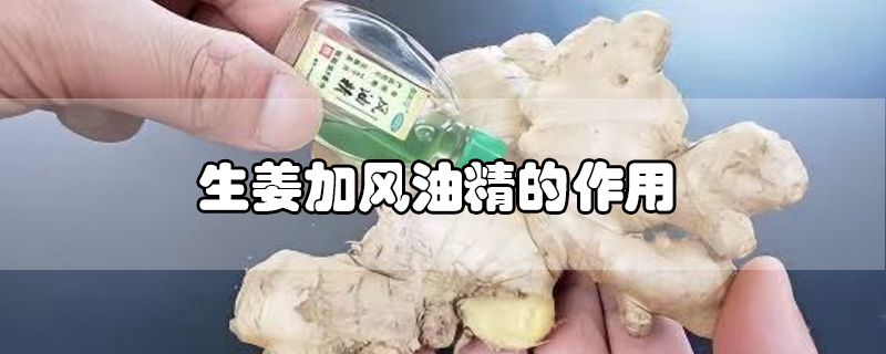生姜加風油精的作用