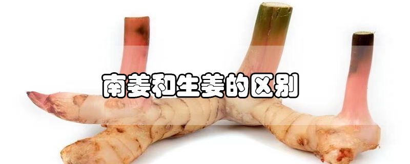 南姜和生姜的區(qū)別
