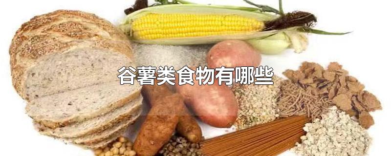 谷薯類食物有哪些