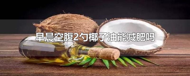 早晨空腹2勺椰子油能減肥嗎